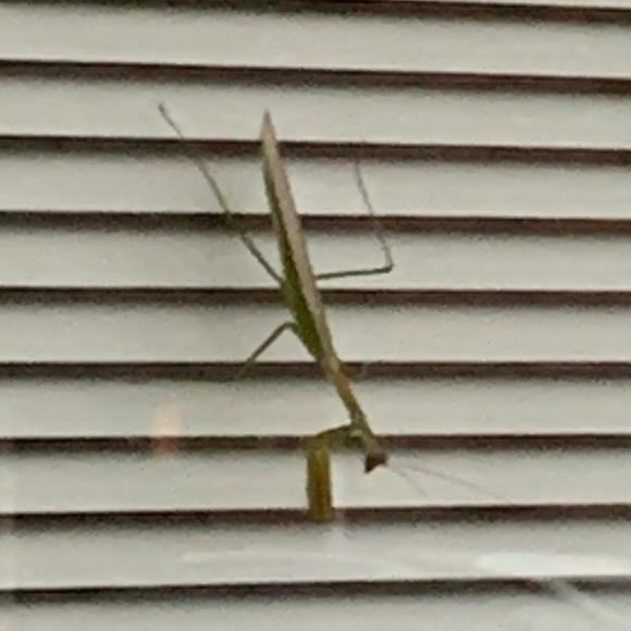 Meet your Posher, Adam - Picture 1 of 1